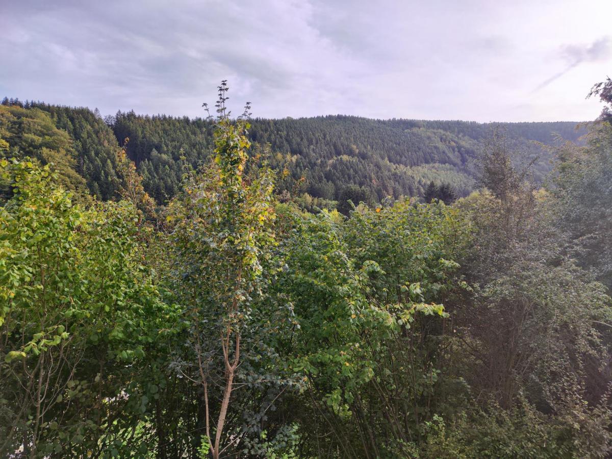 Wohlfuehloase Eifelsteig Villa Simmerath Bagian luar foto
